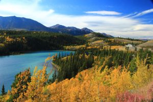 Beautiful Emerald Lake in the Yukon. Accessible via your self-guided tour.